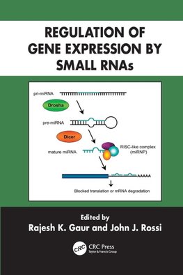 Regulation of Gene Expression by Small RNAs