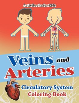 Veins and Arteries