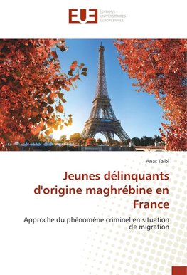 Jeunes délinquants d'origine maghrébine en France