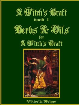 A Witch?s Craft, Book 1