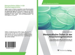 Mononukleäre Zellen in der Knochenregeneration