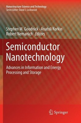 Semiconductor Nanotechnology