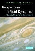 Perspectives in Fluid Dynamics