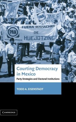 Courting Democracy in Mexico