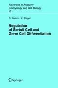 Regulation of Sertoli Cell and Germ Cell Differentiation