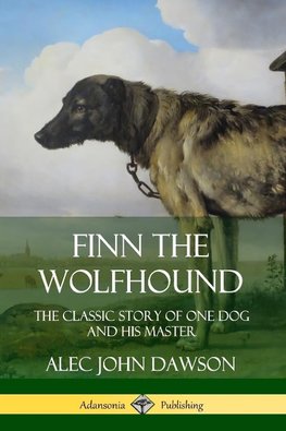 Finn the Wolfhound