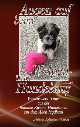 Augen auf beim Welpen- und Hundekauf