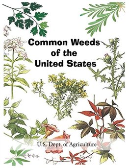 Common Weeds of the United States