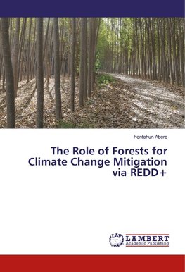 The Role of Forests for Climate Change Mitigation via REDD+