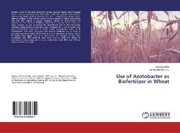 Use of Azotobacter as Biofertilizer in Wheat