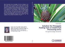 Solution for Pineapple Peeling Task at Small Fruit Processing Units