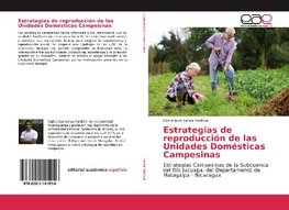 Estrategias de reproducción de las Unidades Domésticas Campesinas