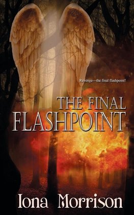 The Final Flashpoint