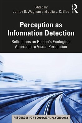 Perception as Information Detection