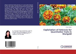 Exploitation of Heterosis for Quantitative Traits in Marigold