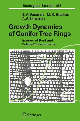 Growth Dynamics of Conifer Tree Rings