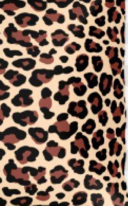 Leopard Sir Michael Designer  Writing  Drawing Journal