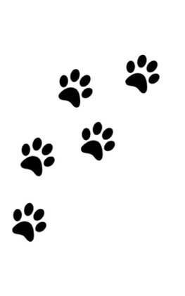 dog  paw print Writing Drawing Journal