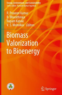 Biomass Valorization to Bioenergy