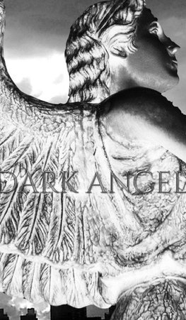 Dark Angel Writing Drawing Journal