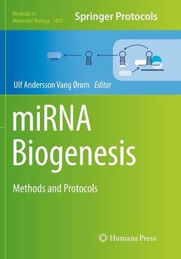 miRNA Biogenesis