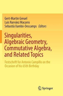 Singularities, Algebraic Geometry, Commutative Algebra, and Related Topics