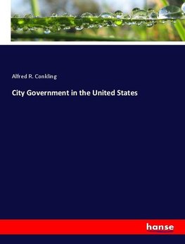 City Government in the United States