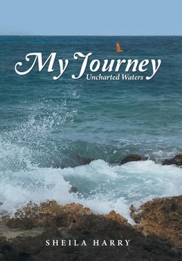 My Journey