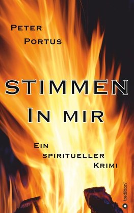 Stimmen in mir - Ein spiritueller Krimi