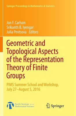 Geometric and Topological Aspects of the Representation Theory of Finite Groups