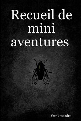 Recueil de mini aventures