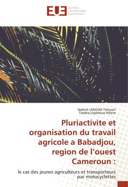 Pluriactivite et organisation du travail agricole a Babadjou, region de l'ouest Cameroun :