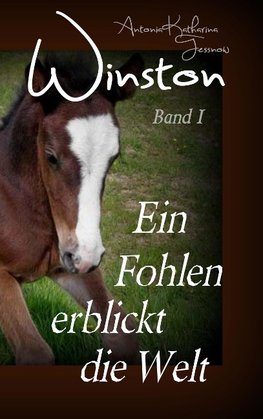 Winston - Ein Fohlen erblickt die Welt