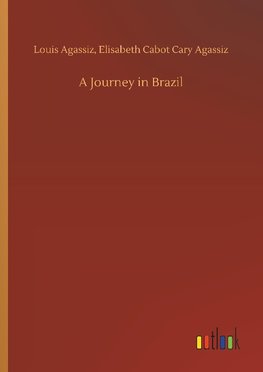 A Journey in Brazil