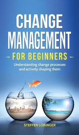 Change Management for Beginners