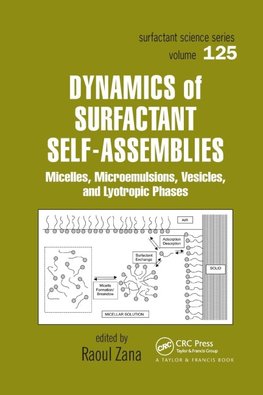 Dynamics of Surfactant Self-Assemblies