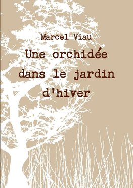 Une orchidée dans le jardin d'hiver