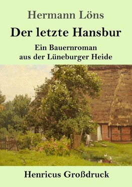 Der letzte Hansbur (Großdruck)