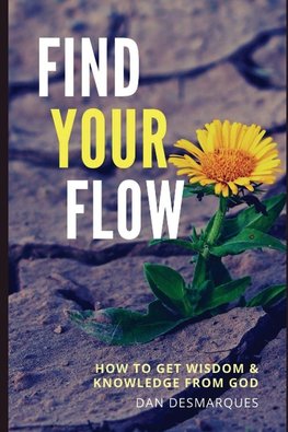 Find Your Flow