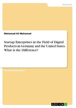 Startup Enterprises in the Field of Digital Products in Germany and the United States. What is the Difference?