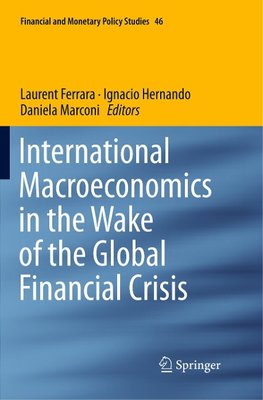 International Macroeconomics in the Wake of the Global Financial Crisis