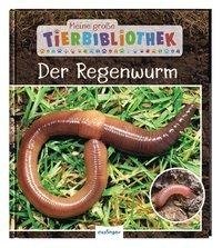 Meine große Tierbibliothek: Der Regenwurm