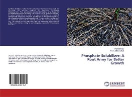 Phosphate Solubilizer: A Root Army for Better Growth