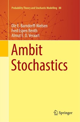 Ambit Stochastics