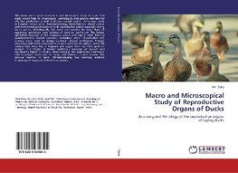 Macro and Microscopical Study of Reproductive Organs of Ducks