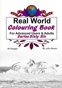 Real World Colouring Books Series 66