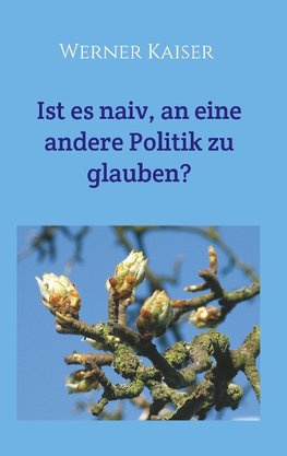 Ist es  naiv, an eine andere Politik zu glauben?