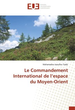 Le Commandement International de l'espace du Moyen-Orient