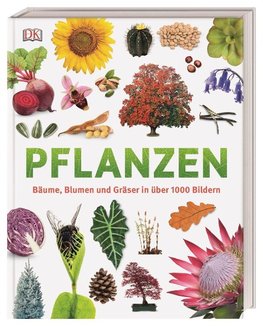 Pflanzen