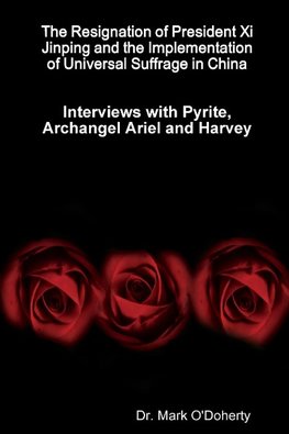 The Resignation of President Xi Jinping and the Implementation of Universal Suffrage in China - Interviews with Pyrite, Archangel Ariel and Harvey